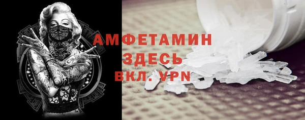 крисы Коряжма