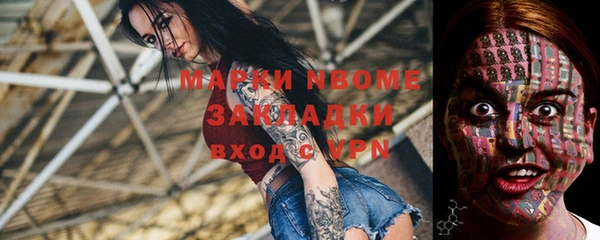 крисы Коряжма