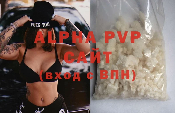 крисы Коряжма