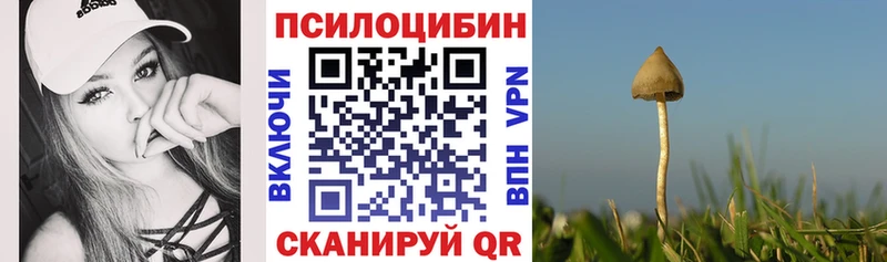 Галлюциногенные грибы Psilocybe  Купить  Гудермес 